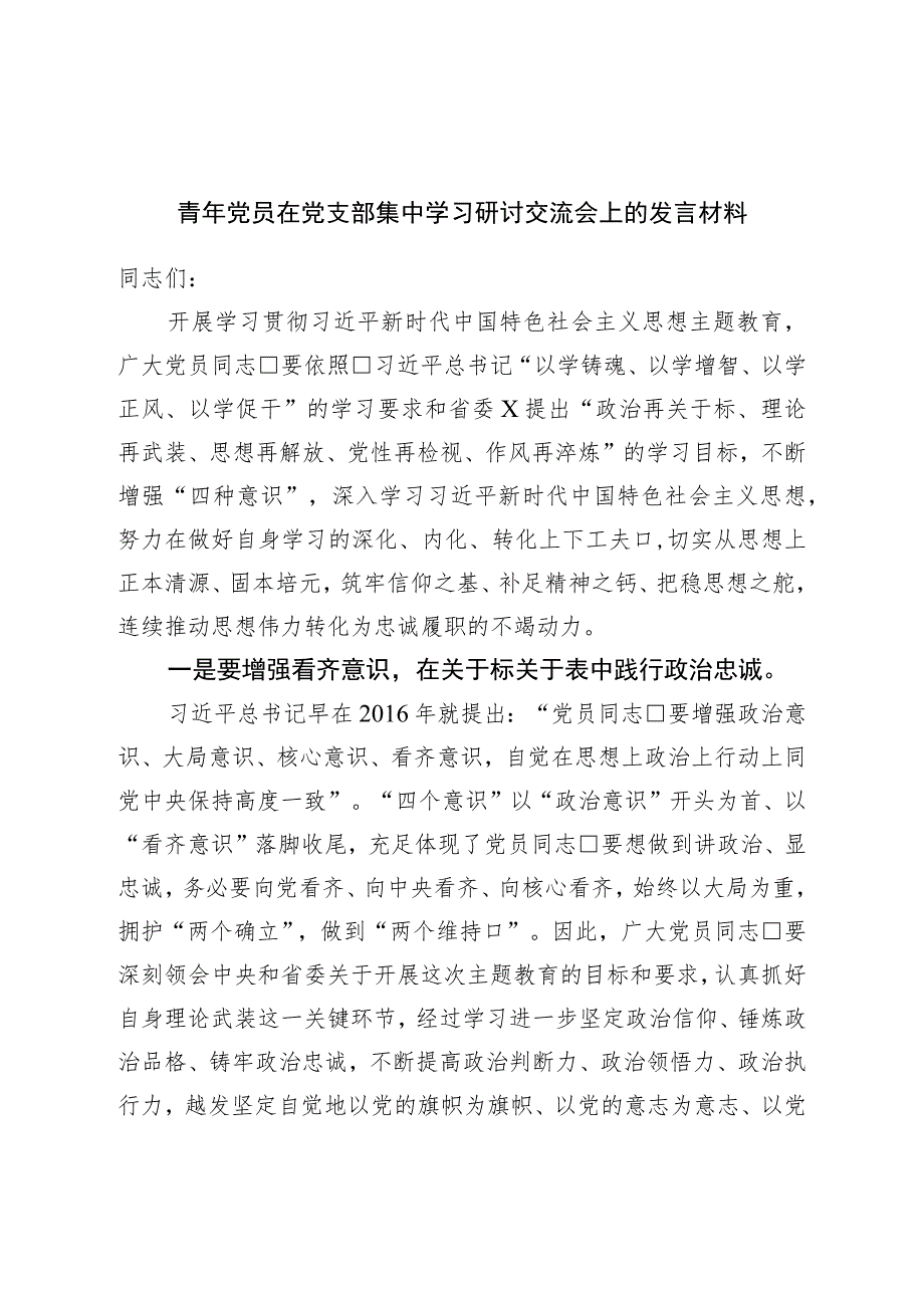 青年党员在党支部集中学习研讨交流会上的发言材料.docx_第1页