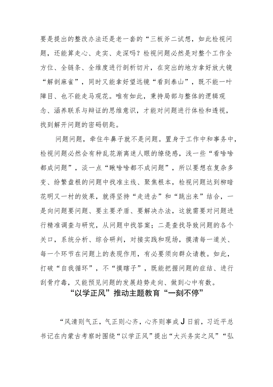 主题教育检视问题、整改落实学习心得体会发言.docx_第3页