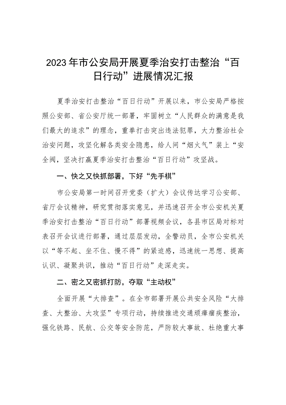 2023开展夏季治安打击整治“百日行动”工作总结4篇.docx_第1页