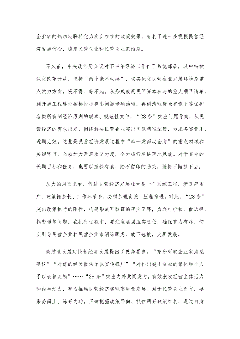 贯彻落实《关于实施促进民营经济发展近期若干举措的通知》心得发言稿.docx_第2页