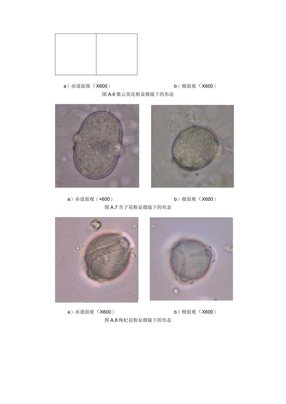 常见蜜源植物花粉形态.docx_第3页