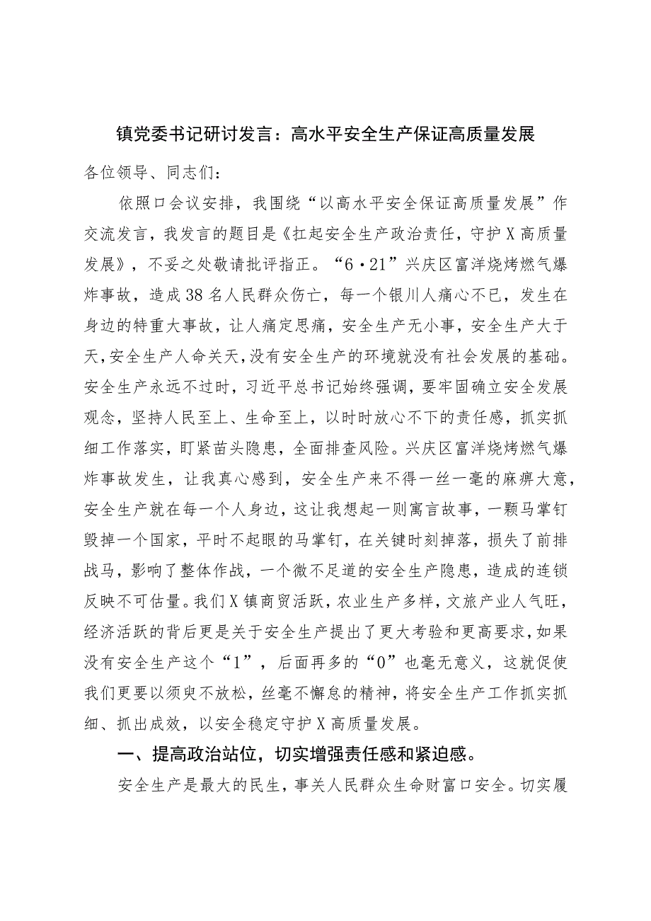 镇党委书记研讨发言：高水平安全生产保障高质量发展.docx_第1页