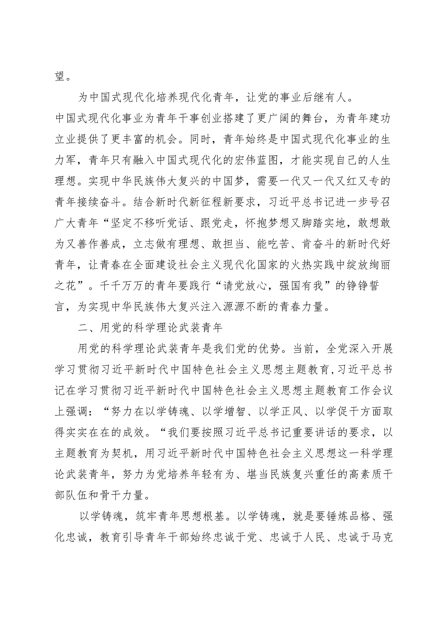 做好青年工作党课讲稿主题教育年轻干部队伍建设.docx_第3页