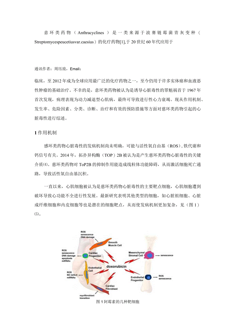 蒽环类药物所致心脏毒性的研究进展.docx_第2页