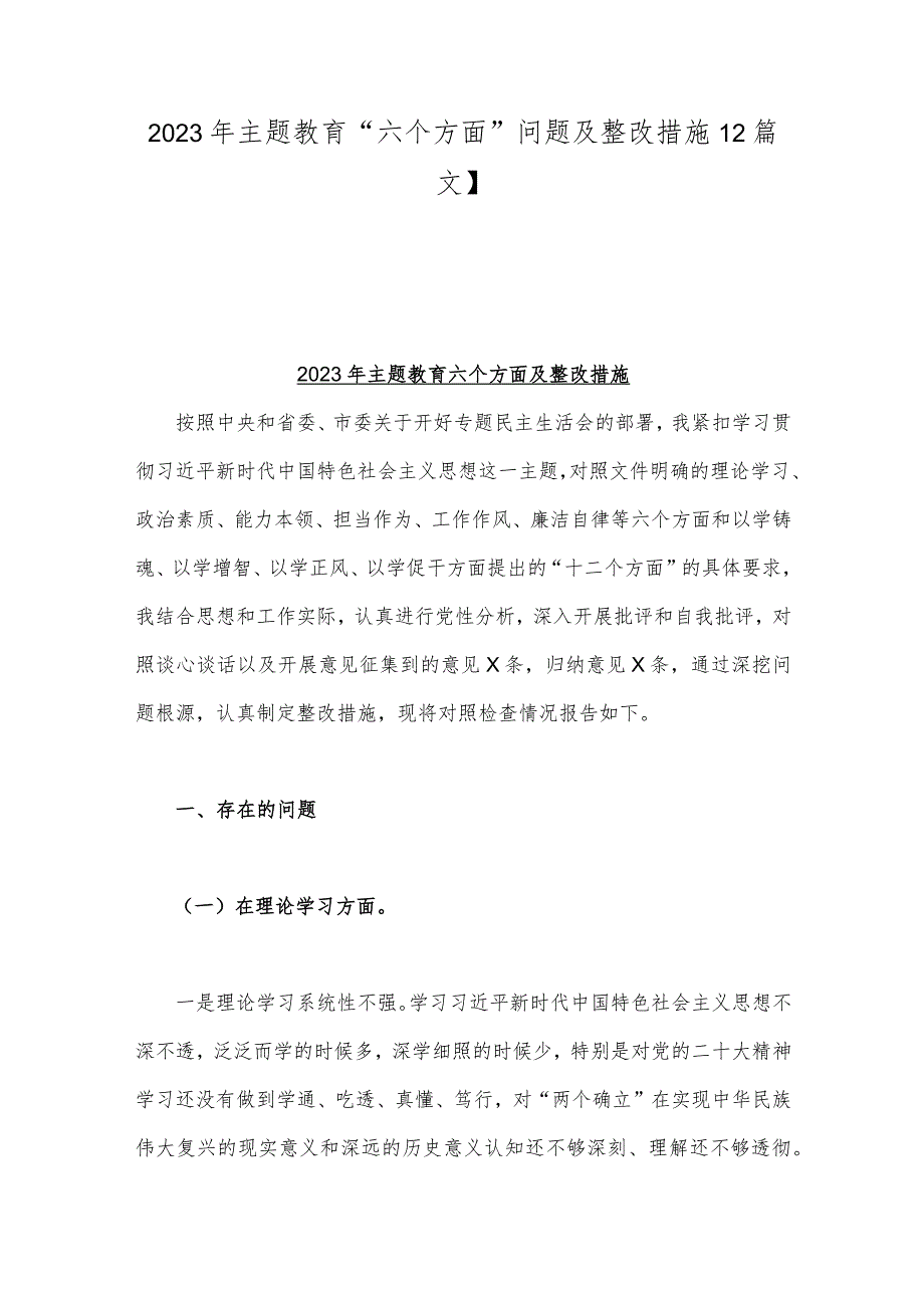 2023年主题教育“六个方面”问题及整改措施【2篇文】.docx_第1页