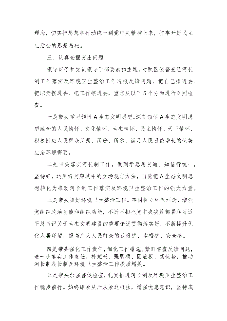 2023年镇党委领导班子河长制工作落实及环境卫生整治工作专题民主生活会.docx_第2页