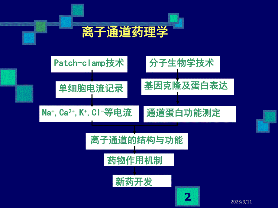 钙通道阻滞药.ppt_第2页