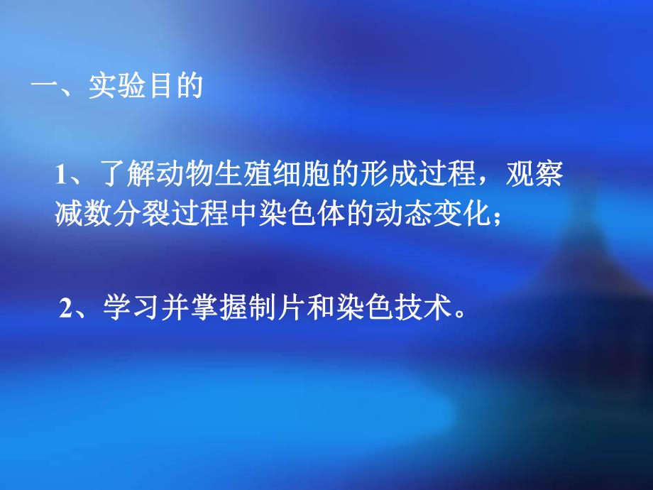 遗传实验减数分裂.ppt_第2页