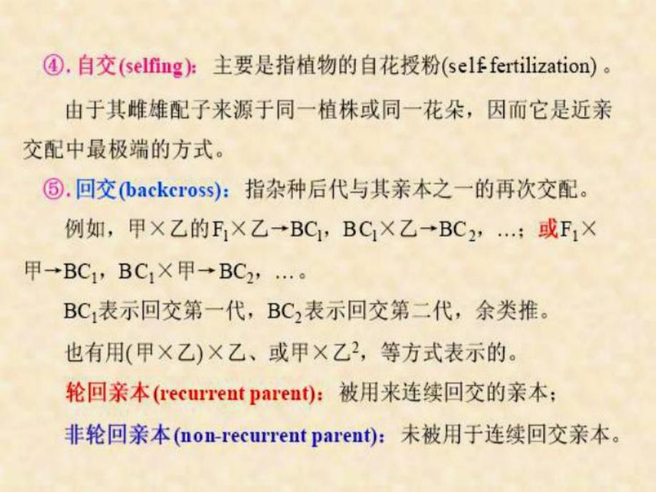 遗传学第九章近亲繁殖和杂种优势.ppt_第3页