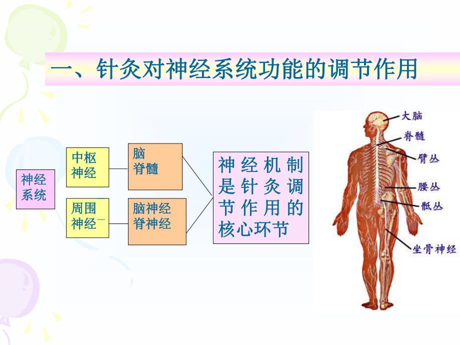 针灸对神经系统功能的调节.ppt_第2页