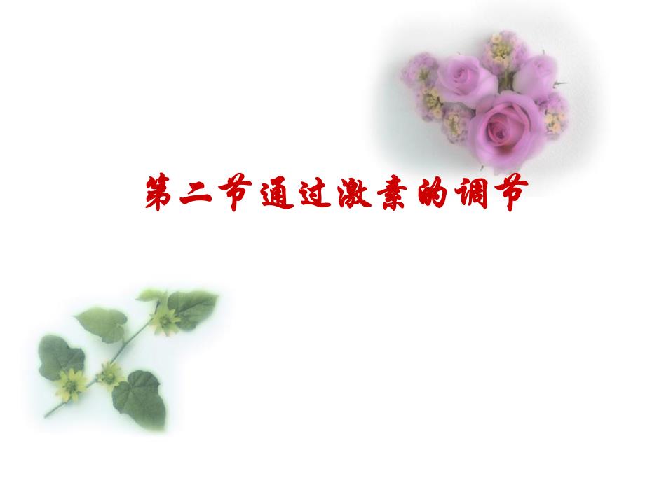 通过激素调节第一轮复习.ppt_第1页