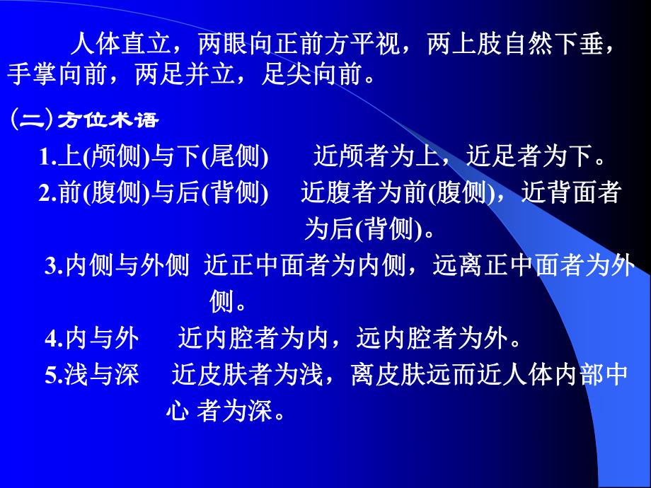 针灸针刀等解剖学基础.ppt_第3页