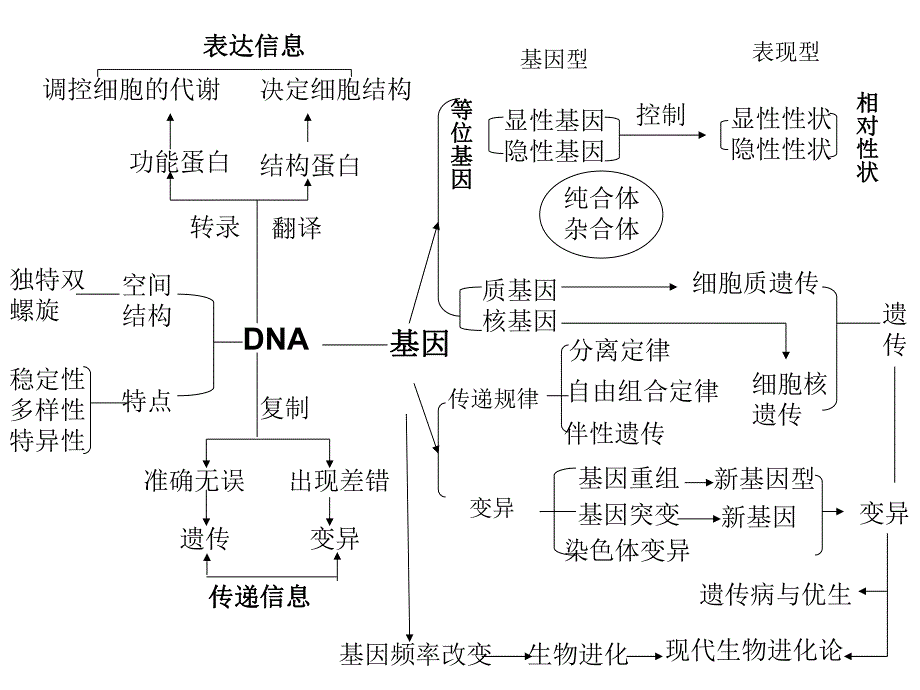 遗传的物质基础DNA.ppt_第2页