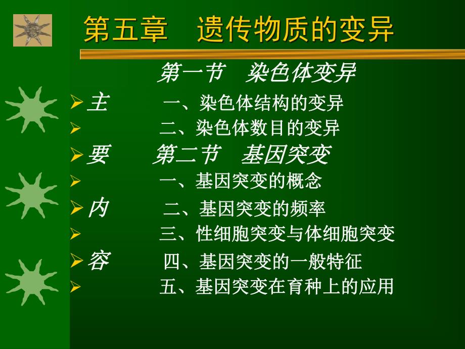 遗传学第5章遗传物质的变异.ppt_第3页