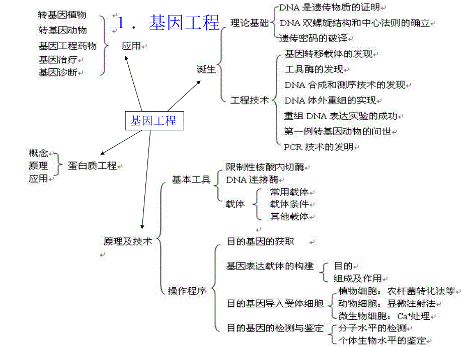 选修三复习网路wg.ppt_第1页