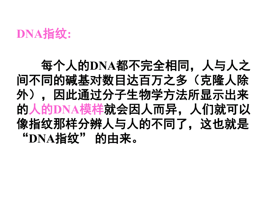 遗传物质的携带者核酸.ppt_第3页