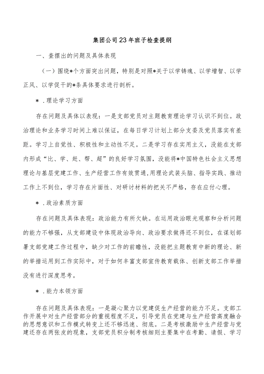 集团公司23年班子检查提纲.docx_第1页