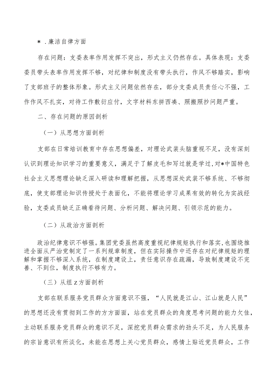 集团公司23年班子检查提纲.docx_第3页