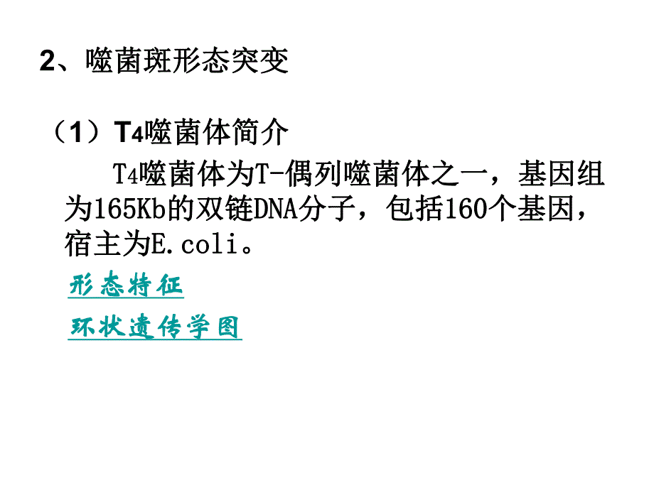 遗传学第六章病毒的遗传分析.ppt_第3页