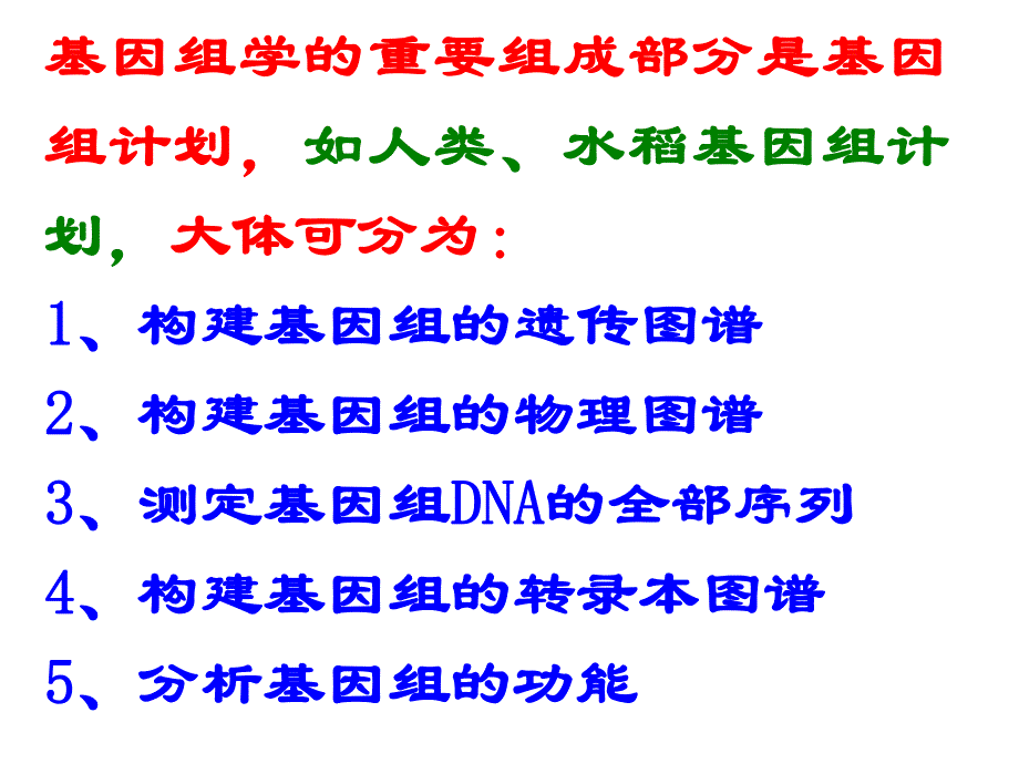 遗传学课件14第十三章基因组学.ppt_第2页