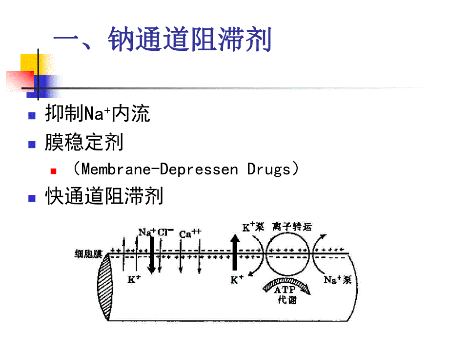 钠钾通道阻滞剂.ppt_第2页