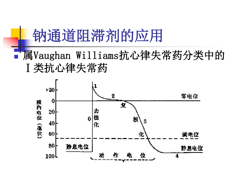 钠钾通道阻滞剂.ppt_第3页