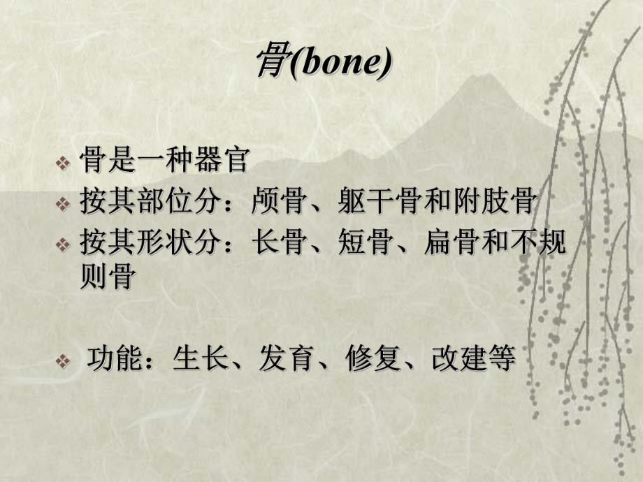 骨科护士课件.ppt_第3页