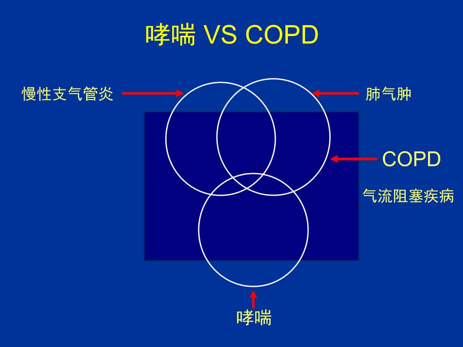 高金明教授呼吸内科ppt课件.ppt_第3页