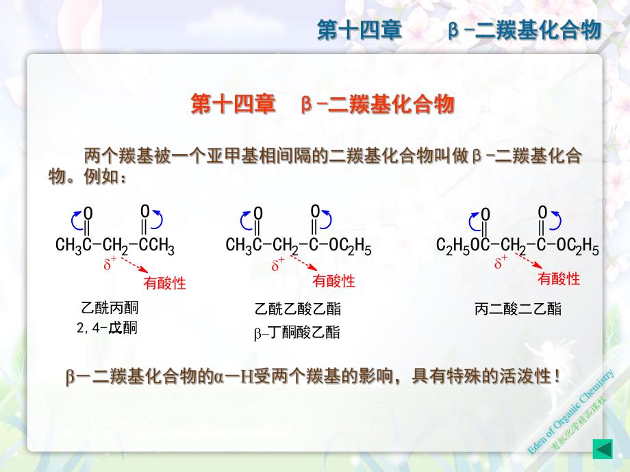 高四14章二羰基.ppt_第2页