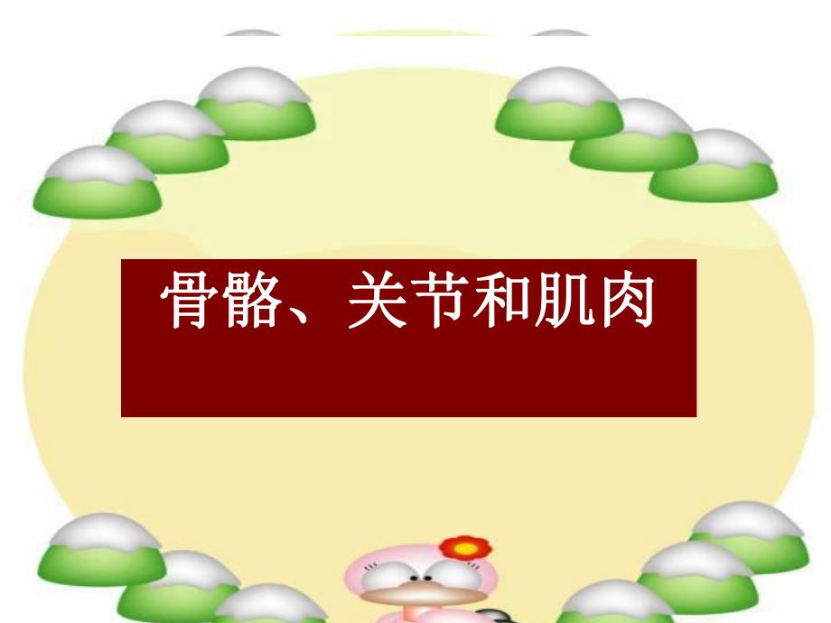 骨骼关节和肌肉课件.ppt_第1页