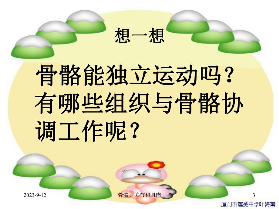 骨骼关节和肌肉课件.ppt_第3页