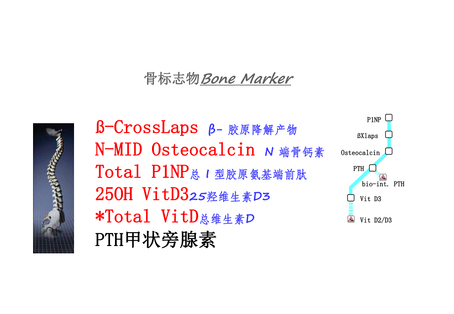 骨标志物临床应用.ppt_第1页