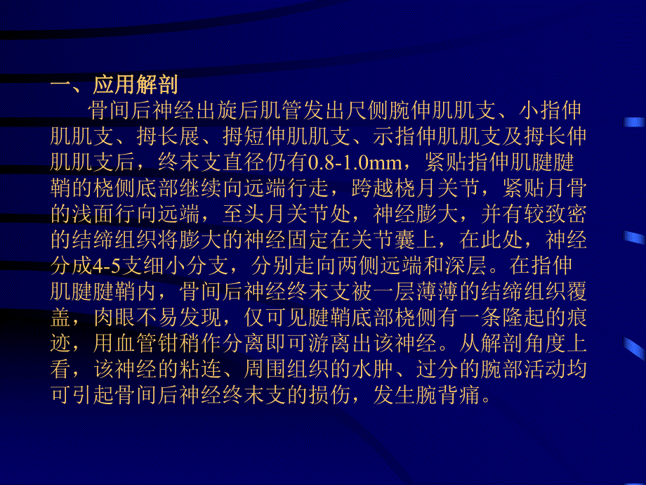 骨间背神经终末支卡压.ppt_第3页