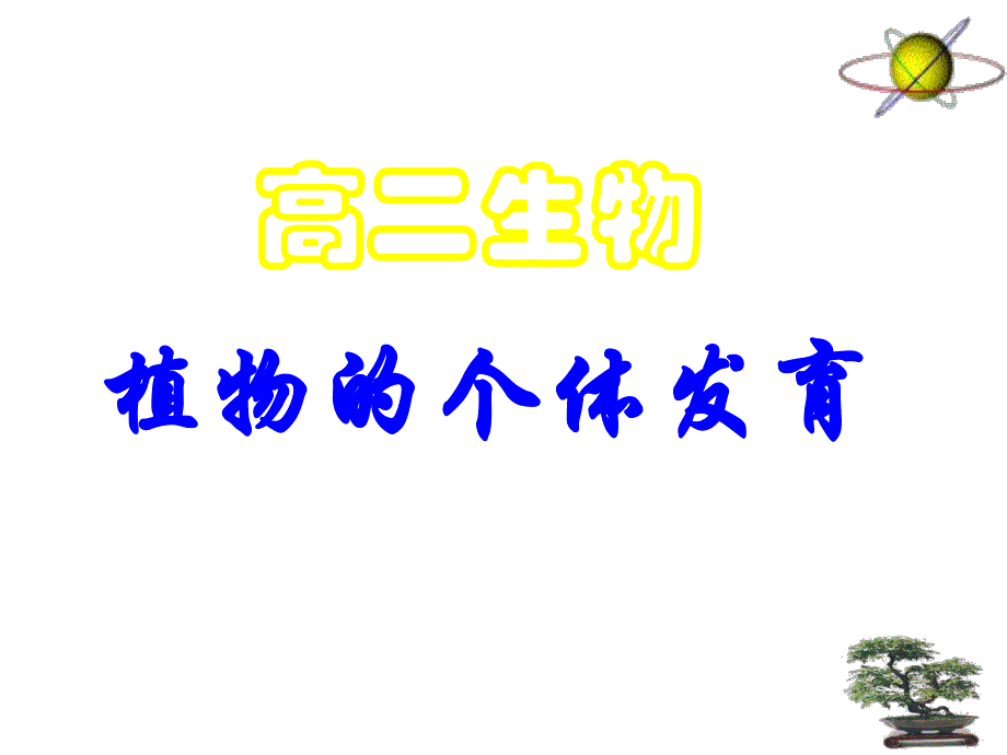 花的结构双受精.ppt_第1页