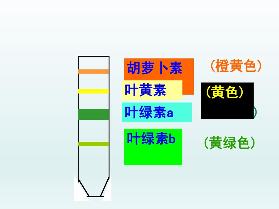 能量之源光与光合作用.ppt_第3页