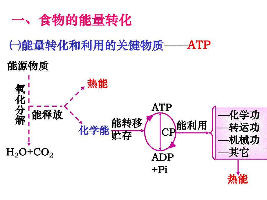 能量代谢和体温.ppt_第3页