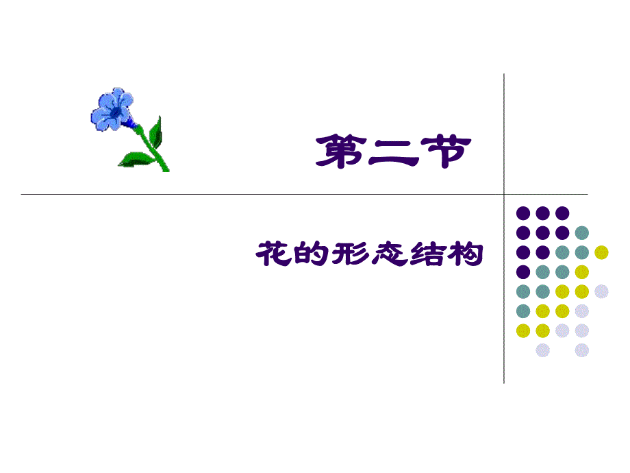 花的形态构造宁艳华.ppt_第1页