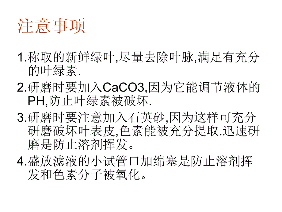 能量来源光和光合作用.ppt_第2页