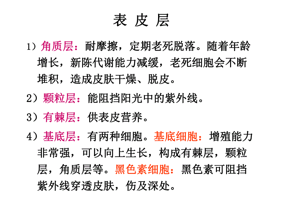 美容美发食品A.ppt_第3页