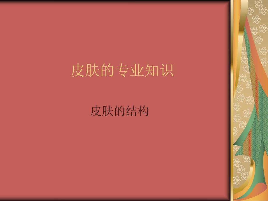 美容行业皮肤的专业知识.ppt_第1页