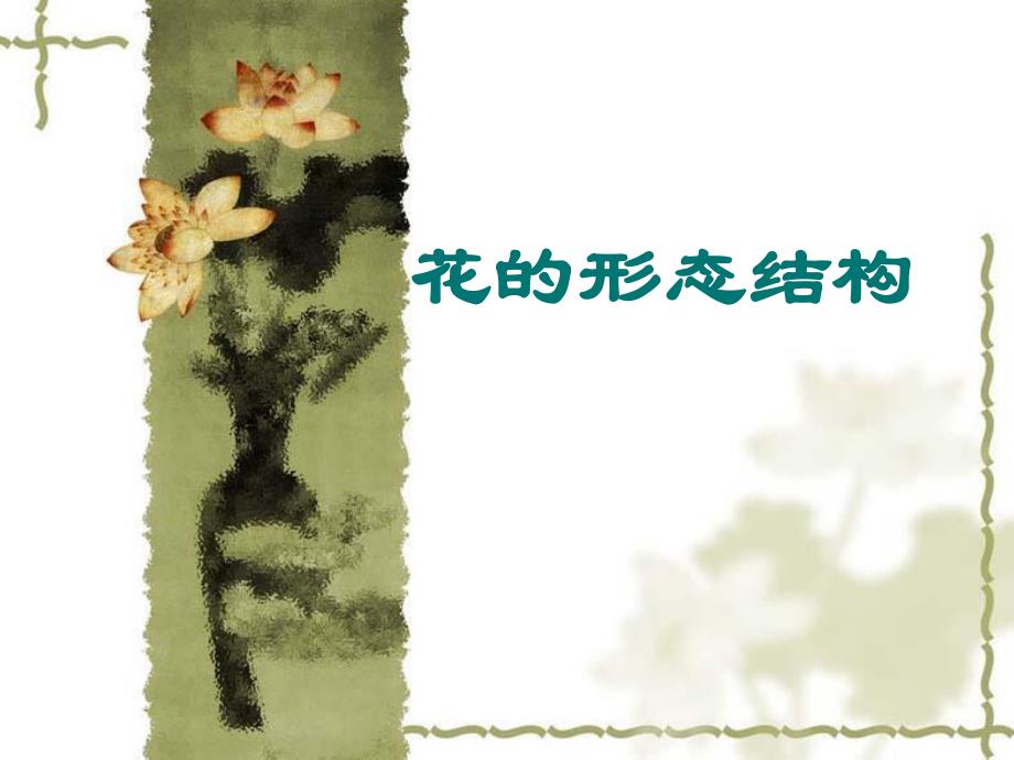 花的形态结构.ppt_第1页