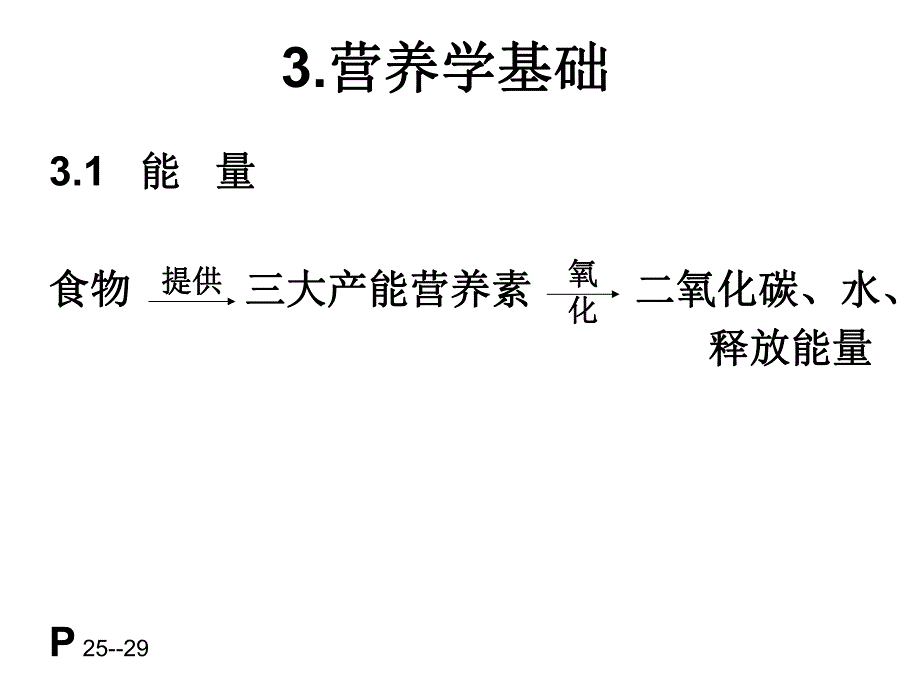 能量蛋白质脂类碳水化合物56.ppt_第2页