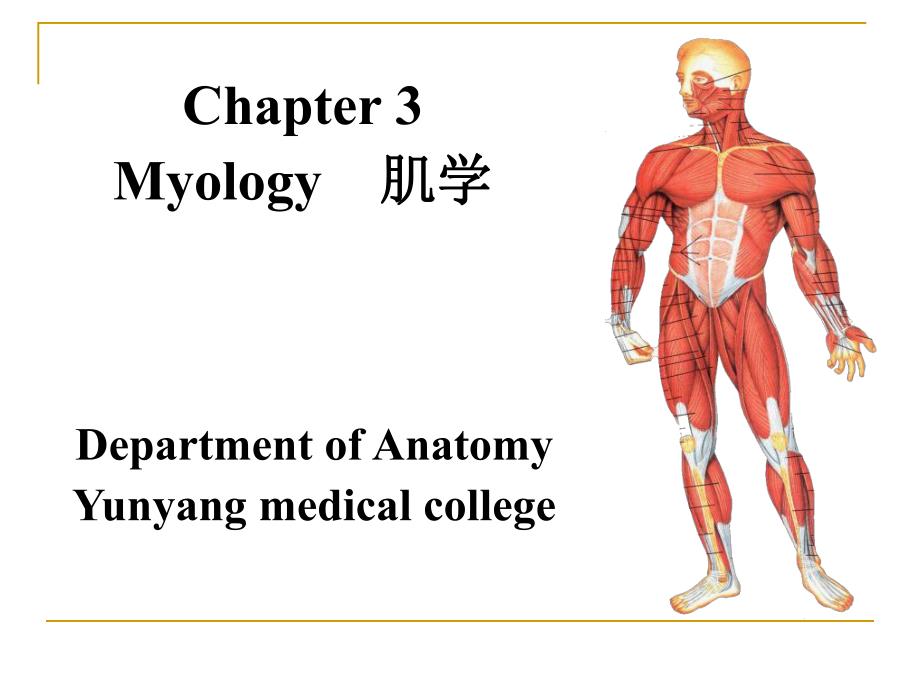 解破学06myology1.ppt_第1页