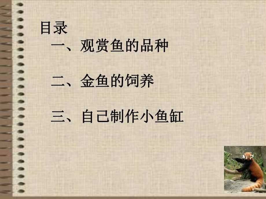 观赏鱼的养殖.ppt_第3页