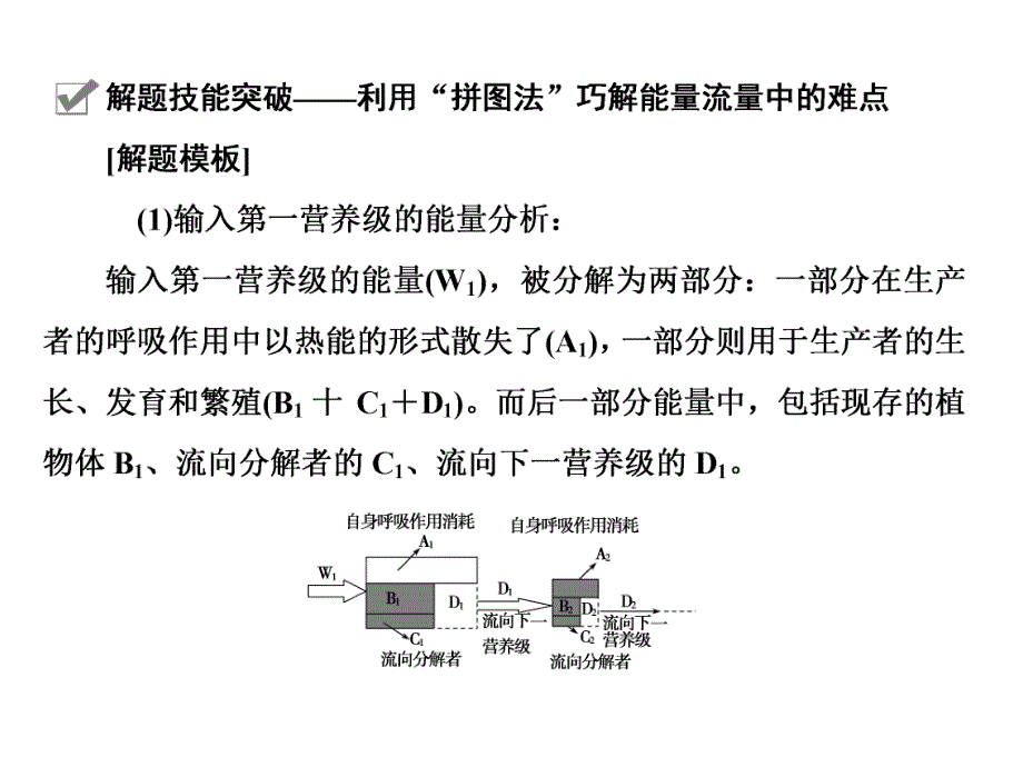 解题技能突破利用拼图法巧解能量流量中的难点.ppt_第2页