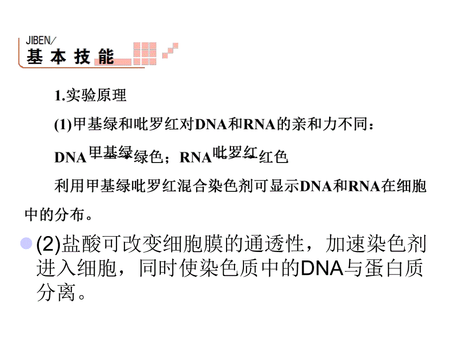 观察DNA和RNA在细胞中的分布.ppt_第2页