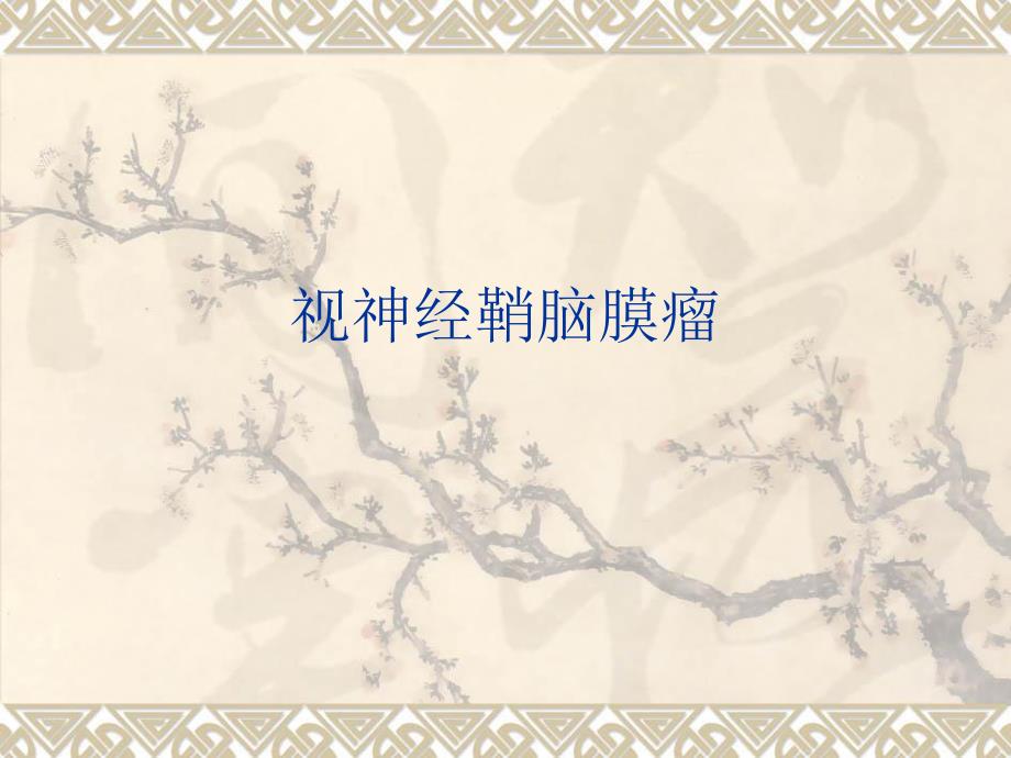 视神经鞘脑膜瘤.ppt_第1页