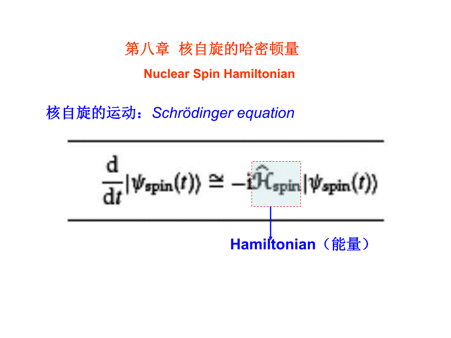 自旋动力学第八章核自旋的哈密顿量.ppt_第1页