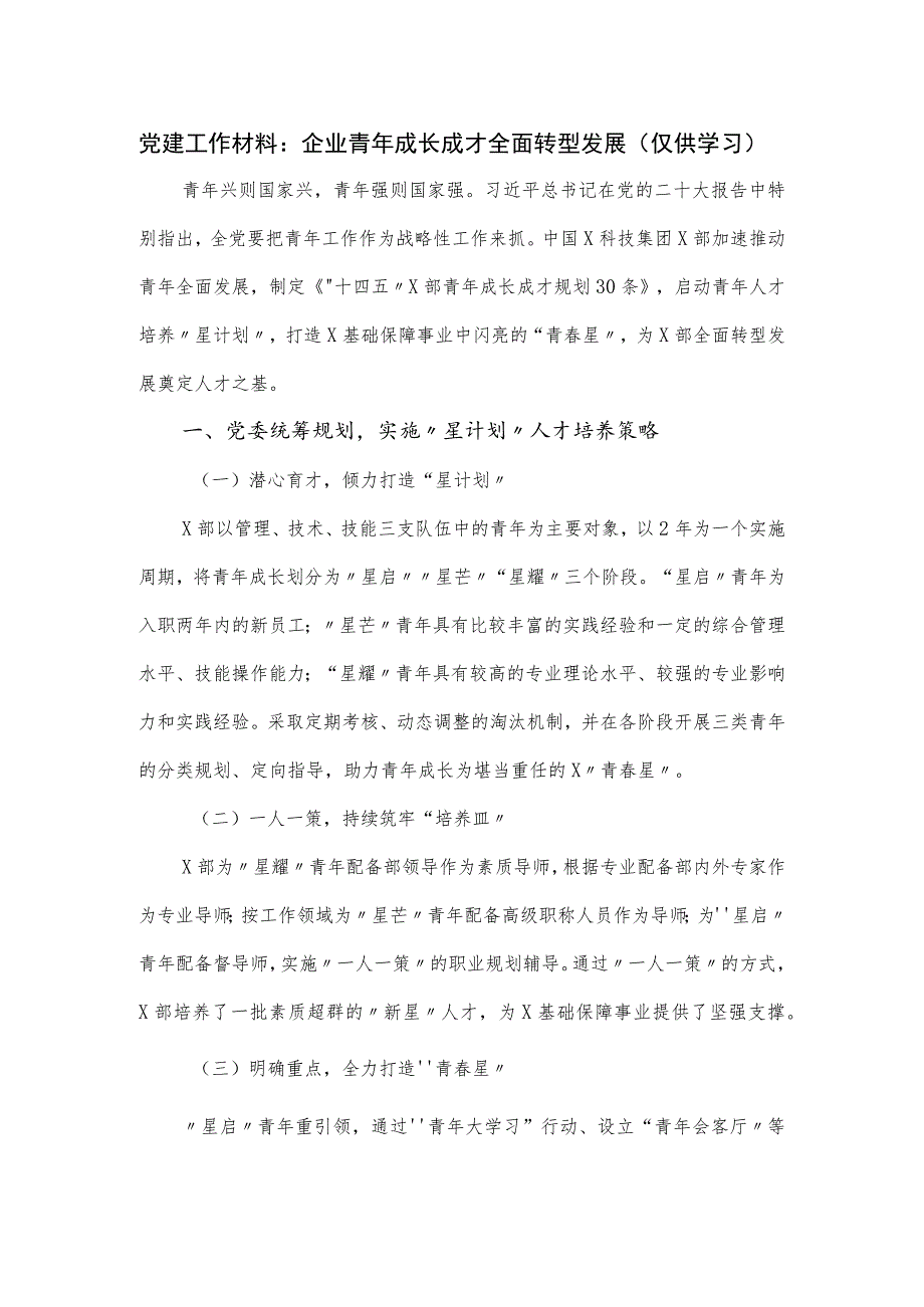 党建工作材料：企业青年成长成才全面转型发展.docx_第1页