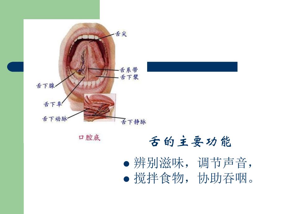 舌诊图片较全.ppt_第3页